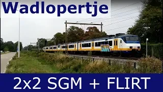 SGMm en Blauwnet FLIRT langs de Veldkamp in Borne