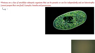 CBSE CLASS 8  SCIENCE | CLASS 8 MICROORGANISMS | CLASS 8  SCIENCE MICROORGANISMS | 01