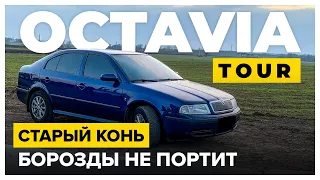 Старый конь, борозды не портит - Skoda Octavia Tour 1.9 TDI