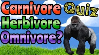 CARNIVORE HERBIVORE OMNIVORE QUIZ | Science Quiz | Miss Ellis