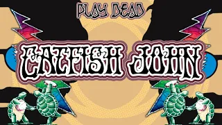 HOW TO PLAY CATFISH JOHN | Grateful Dead Lesson | Play Dead