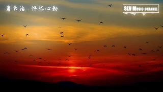 萧秉治(廷廷) - 怦然心动 (电视剧《你是我的命中注定》片头曲)『動態歌詞Lyrics』♫【我想和你约会 在古老神秘的月光下 让宇宙见证我们 永恒的爱如愿以偿】