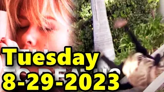 Full CBS New B&B Tuesday, 8/29/2023 The Bold and The Beautiful Episode (August 29, 2023) update