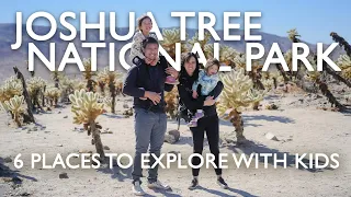 6 Places to Explore in Joshua Tree National Park With Kids