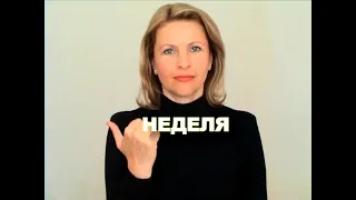 ЖЕСТОВЫЙ ЯЗЫК. СЛОВАРЬ. Неделя