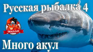 Русская рыбалка 4 Выловил стаю акул. ФАРМ на Норвежском море