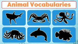 Learn Vocabulary And Quiz About Sea Animals For Kids - Kid Routes