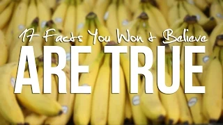 17 Facts You Won't Believe Are True | Knowledge Flex