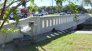 Huge alligator captured after woman attacked following fall into canal