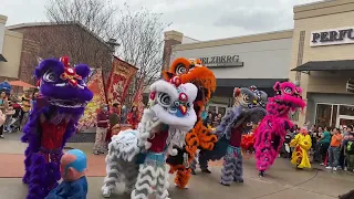 Lunar new year 2024 at Katy mills