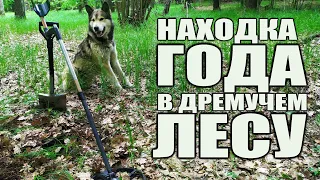 НАХОДКА ГОДА! ТАКОГО МЫ ЕЩЕ НЕ НАХОДИЛИ! КОП В ДРЕМУЧЕМ ЛЕСУ В ДЕНЬ КЛАДОИСКАТЕЛЯ!