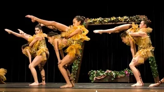 The Jungle - Dance Starz Academy - Beyond The Stars Nationals 2014