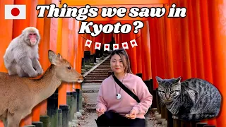 Top Things to Do in KYOTO Japan | Nara Park, Monkey, Rickshaw, Karasuma Kyoto Hotel, Cat