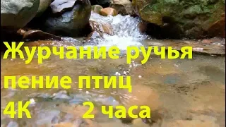 Журчание ручья, пение птиц. 🐠 Красивый горный ручей 2 часа. 🐠 4К Горный relax