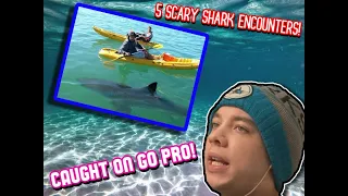 5 SCARY SHARK ENCOUNTERS Caught On Go Pro!