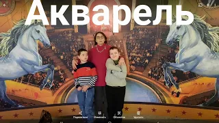 Видео выступления "Акварель" (Московский цирк Никулина на Цветном бульваре)