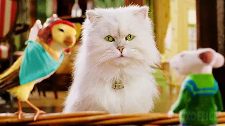 Snowbell best scenes in Stuart Little 2 🌀 4K