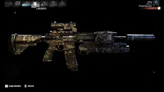 The Best Gun for GHOST MODE