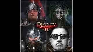 Divinity Original Sin 2. Продолжение страданий.