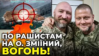 ⚡️ Офіцер ЗСУ показав ЯК ВДАРИВ по острову Зміїний із "Богдани"