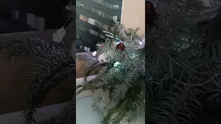 Поздравление со Старым Новым годом! 💥☃️❄#старыйновыйгод