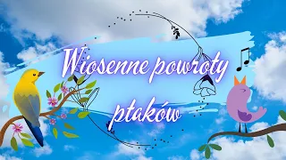 Wiosenne powroty ptaków dla dzieci