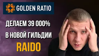 GOLDEN RATIO / Успей сделать 39 000% в новой гильдии  Raido / откуда такие проценты?