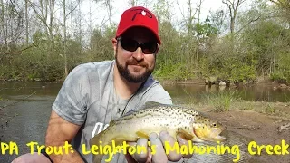 Pennsylvania Trout: Leighton's Mahoning Creek