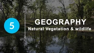 Natural Vegetation and Wildlife - Chapter 5 Geography NCERT class 9