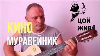 Кино - Муравейник на гитаре (cover)