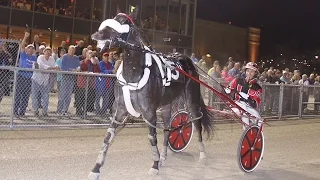 2016 Dayton Pacing Derby - Wiggle It Jiggleit