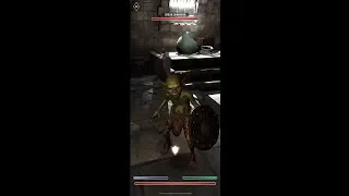 Elder Scrolls: Blades - iPhone Gameplay