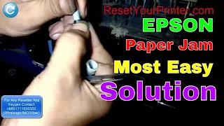 Most Easy Solution of EPSON Printer Paper Jam | EPSON Paper Feed Problem Fix