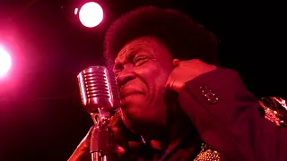 Charles Bradley "Crying In The Chapel" Minneapolis,Mn 5/7/13 HD