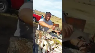 pesca en laguna cuero de zorro
