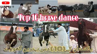 Top 10 Beautiful Classical Horse in Pakistan || Jhang Horse Dance