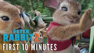 PETER RABBIT 2 – First 10 Minutes