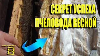 СЕКРЕТ УСПЕХА ПЧЕЛОВОДА - СОКРАЩЕНИЕ ПЧЕЛИНОГО ГНЕЗДА ВЕСНОЙ И ЗАМЕНА ПУСТЫХ РАМОК НА МЕДОПЕРГОВЫЕ