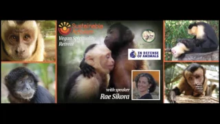 Vegan Spiritual Retreat at Jungle Friends Primate Sanctuary with speaker Rae Sikora