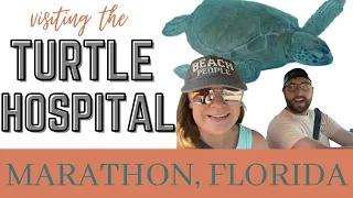 VISITING THE SEA TURTLE HOSPITAL IN MARATHON, FLORIDA // TURTLE HOSPITAL IN THE FLORIDA KEYS