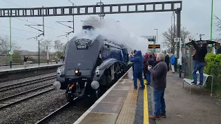 LNER Class A4 Pacific 60007 Sir Nigel Gresley @ Rugeley Trent Valley, 5Z07 Crewe HS to Orton Mere