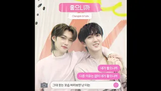 [Stray kids: SKZ RECORD] Changbin & Felix (좋으니까) Audio