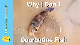 Why I Don't Quarantine, Why You Might Not Want To, And What You Should Do If You Don't