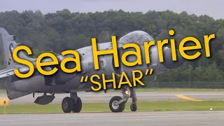 Sea Harrier "SHAR" and Pilot Art Nalls