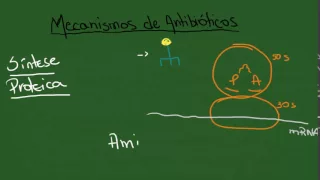 Mecanismos de Antibióticos e Resistência Bacteriana - Resumo - Microbiologia