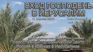 Вход Господень в Иерусалим | Святая Земля | Израиль