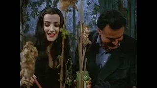 The New Addams Family: 01x11 - Art And The Addams Family