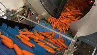 Машина для мойки овощей C 500 Allround Vegetable Processing