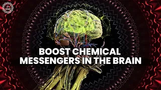 Boost Chemical Messengers In The Brain | Increase Serotonin Dopamine Oxytocin & Endorphins Naturally