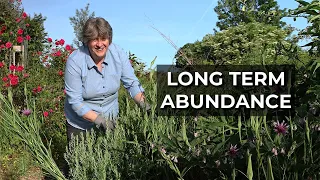 Perennial and Permanent Planting | Veg Garden Tour